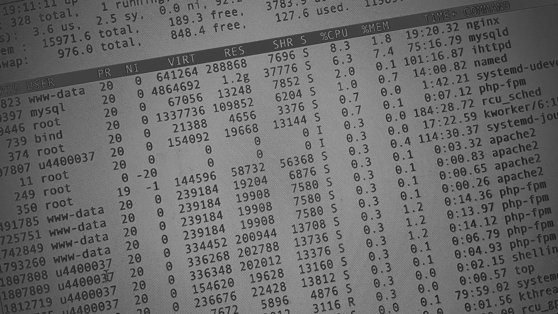 Настройка сервера в Новомичуринске