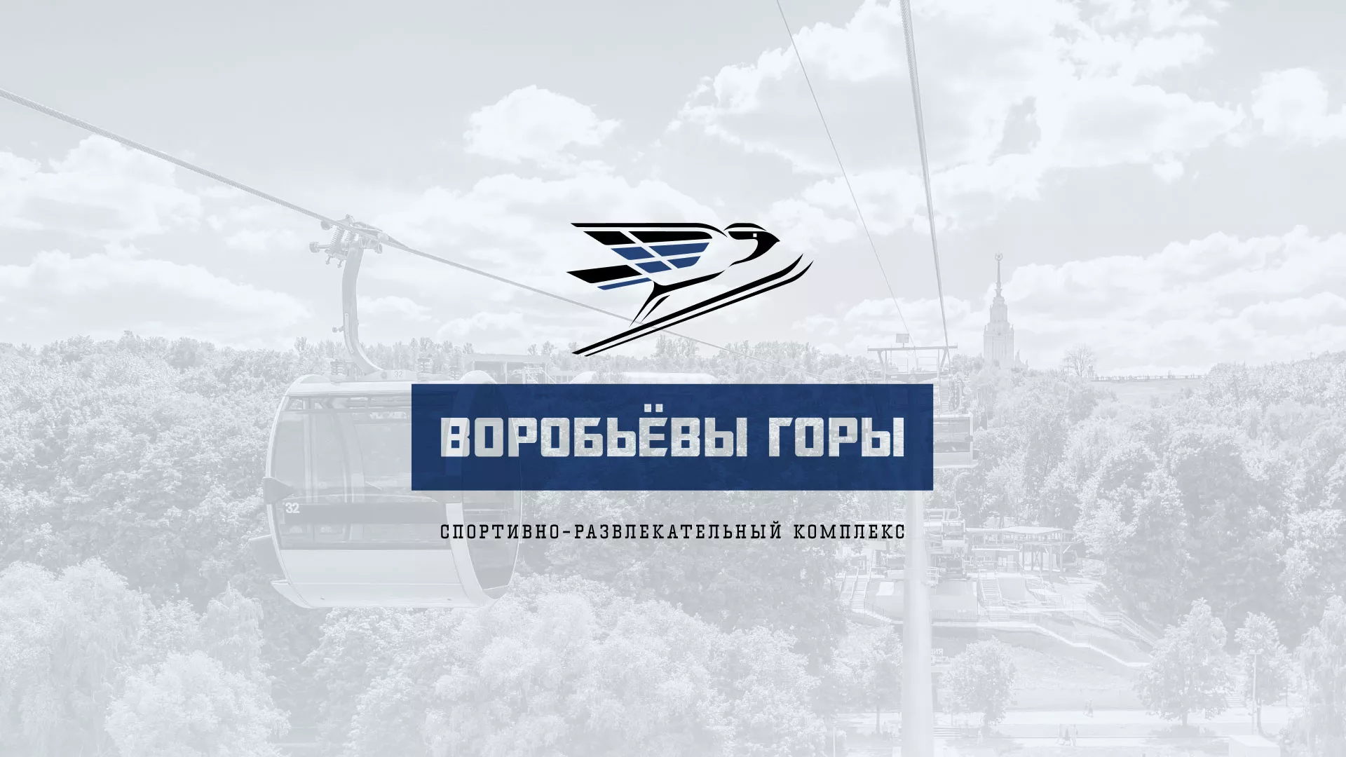 Разработка сайта в Новомичуринске для спортивно-развлекательного комплекса «Воробьёвы горы»