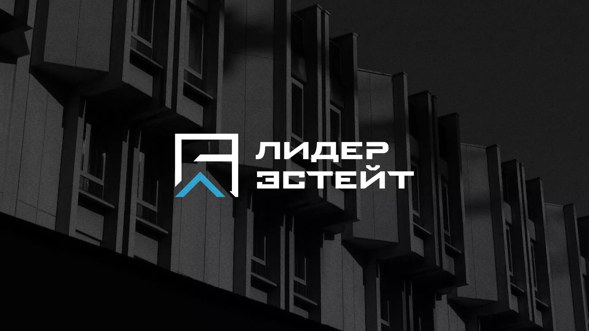 Разработка логотипа агентства недвижимости «Лидер Эстейт» в Новомичуринске